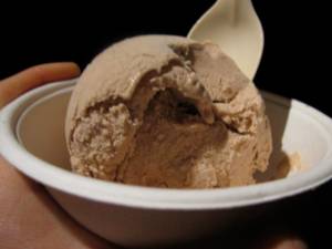 cinnamon ice-cream (coconut milk base, sweetened with agave)